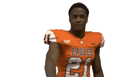 Cnfb Sticker by Carson-Newman Athletics
