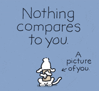 I Love You Dogs GIF by Chippy the Dog