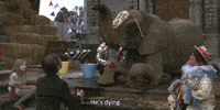 alejandro jodorowsky GIF by Maudit