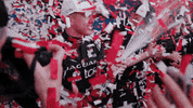 Celebrate Nick Cassidy GIF by Jaguar TCS Racing