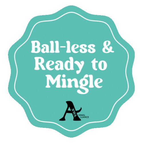 Spay Spaying Sticker by Big Paws of the Ozarks