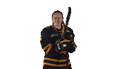 Qu_Bobcats Quwih2019 Sticker by Quinnipiac Bobcats