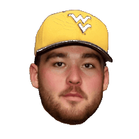 Golden Bears Baseball Sticker by WVU Tech Golden Bears
