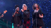 p!nk pink GIF by RCA Records UK