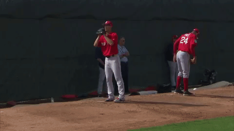 Pitching Red Sox GIF by NBC Sports Boston