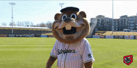 chopper GIF by Gwinnett Stripers