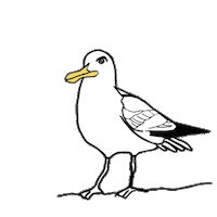 RTLNord moin kiel nordsee ahoi Sticker