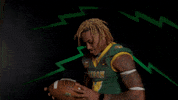 Bison Hart GIF by NDSU Athletics