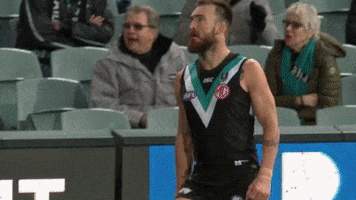 Celebration Goal GIF by Port Adelaide FC