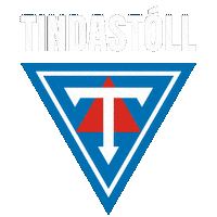 Fotbolti Korfubolti Sticker by Félag kvenna í atvinnulífinu í Danmörku