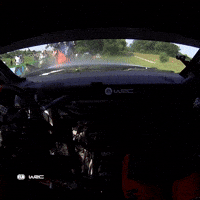 Game Over Poland GIF by FIA World Rally Championship