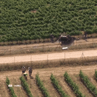 Stay Safe Game Over GIF by FIA World Rally Championship