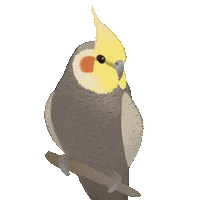 scoutdandelion rainbow animal bird pet Sticker