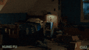 Appear Tv Show GIF by CW Kung Fu