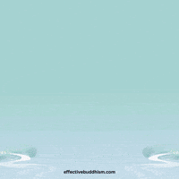 effectivebuddhism mindfulness enlightenment innerpeace spiritualjourney GIF
