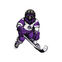CasperWarbirds hockey casper wyoming warbirds Sticker