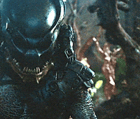 Predator GIF
