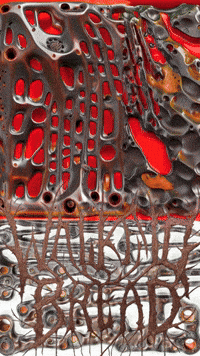 Adult Swim Irl GIF by Alex Boya