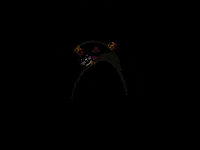 Kristina_laukemper_art beckum rumskedi schwarzerkater rumskedikater GIF