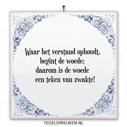 Wijsheid Ontspanning GIF by Tegelspreuken.nl