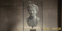 GIF by Night At The Museum