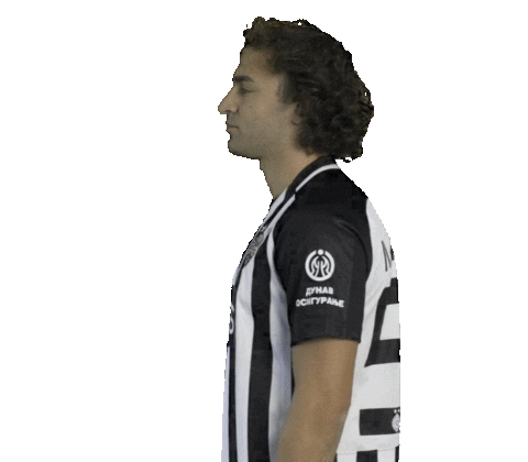 Partizan Sticker by sportmts