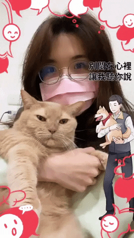 wilsw645 giphyupload GIF
