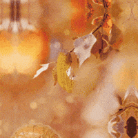 Fall Autumn GIF by TeaCosyFolk
