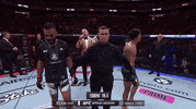 Sport GIF by UFC