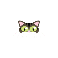 Cat Sticker