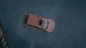 Emergence GIF by ABC Network