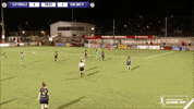 Goal GIF by Cliftonville Football Club