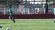 Mallorca Trainingslager GIF by SV Werder Bremen