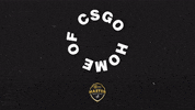Mlpcsgo GIF by Master League Portugal