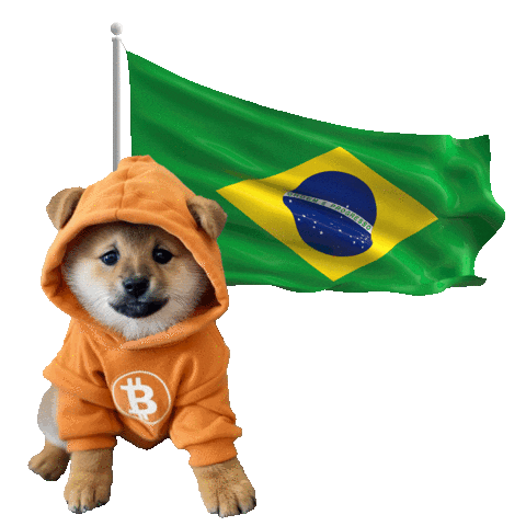 TheDogOfBitcoin giphyupload dog memecoin runestone Sticker