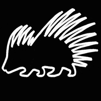 Ruffians ruffians GIF