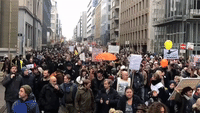 Protesters in Brussels March Against Covid Restrictions