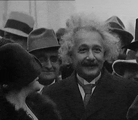 albert einstein GIF