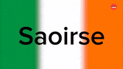 Luck Of The Irish Ireland GIF by BuzzFeed