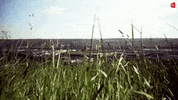 Football Stadium GIF by Standard de Liège