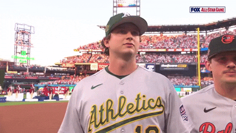 All-Star Sport GIF by MLB