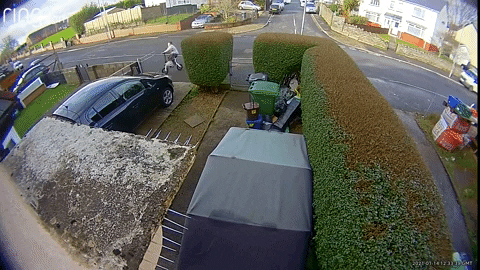 Sam_Gross giphygifmaker GIF