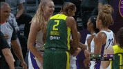 Los Angeles Sparks GIF by The Official Page of the Los Angeles Sparks