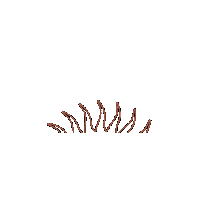 Sunset Jewelry Sticker by Luamaya