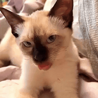Sexy If You Know What I Mean GIF