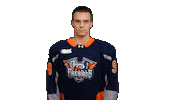 Game Day Goal Sticker by Flint Firebirds