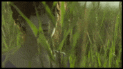 GIF by It Felt Like Love