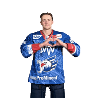 Michaelis Sticker by Adler Mannheim