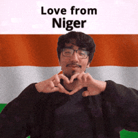 Ne Niger GIF