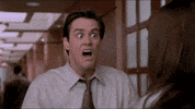 mtv bustle GIF